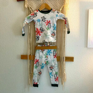 Burt’s bees, Holiday, pajamas, 2t , penguin snowflake